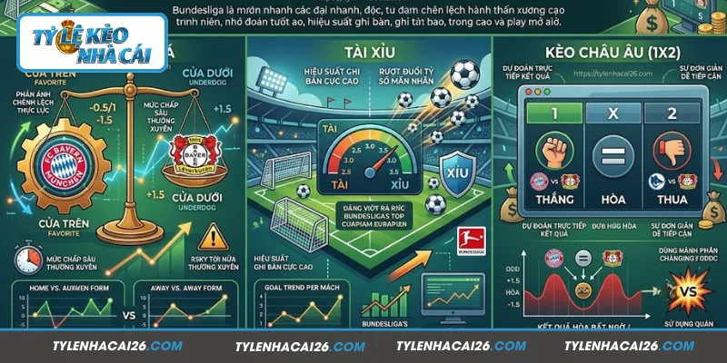 Hướng dẫn đọc tỷ lệ kèo Bundesliga
