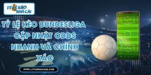 Tỷ lệ kèo Bundesliga - Cập Nhật Odds Nhanh Và Chính Xác
